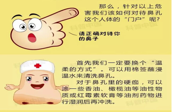 新疆杰瑞天成与您分享预防鼻炎小妙招