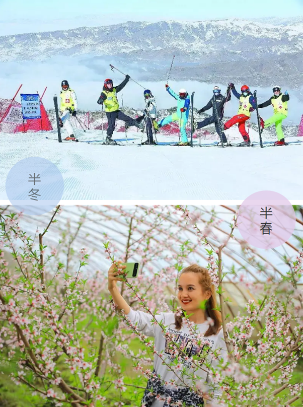 新疆旅游景点推荐—这样半冬半春的新疆你喜欢吗？