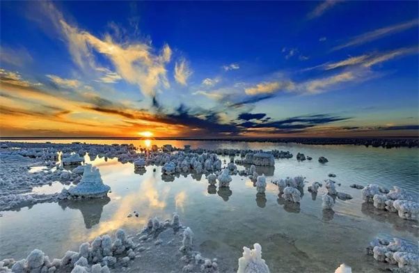 新疆旅游—新疆大地上的独特风景 —— 盐花