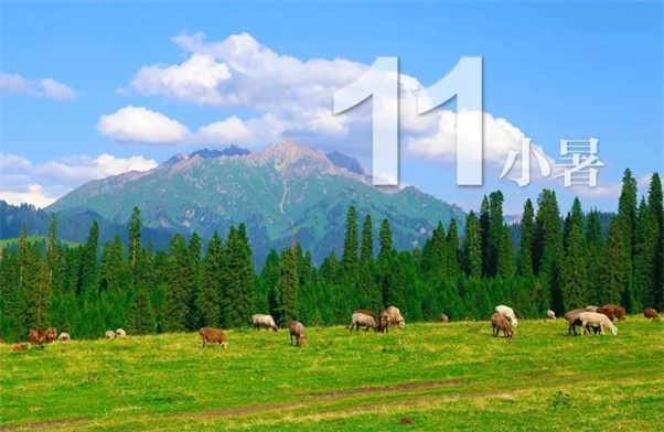 新疆旅游—二十四节气里的巩留，每一张都是绝美壁纸！