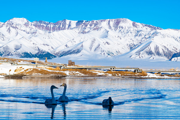 赛湖全景_副本.jpg 赛湖全景_副本.jpg